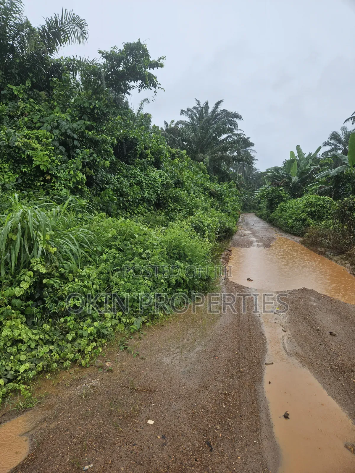 Acres of Land at Alajue Beside Osun Airport