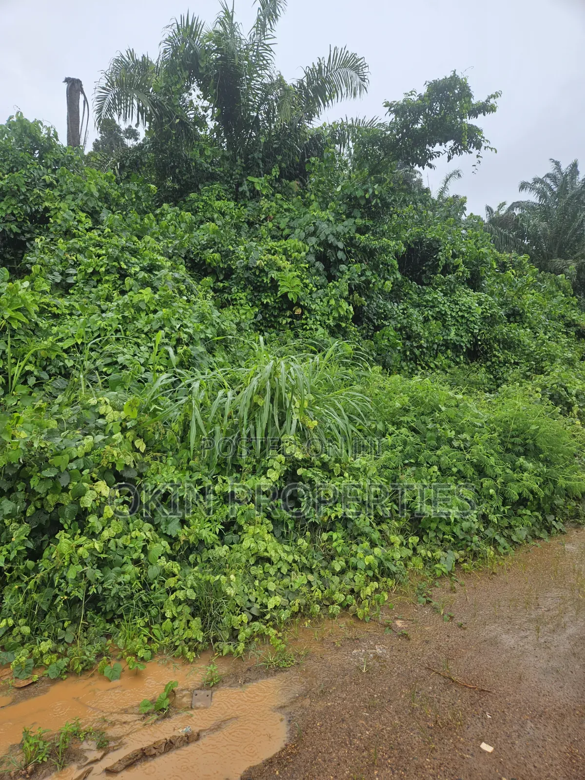 Acres of Land at Alajue Beside Osun Airport