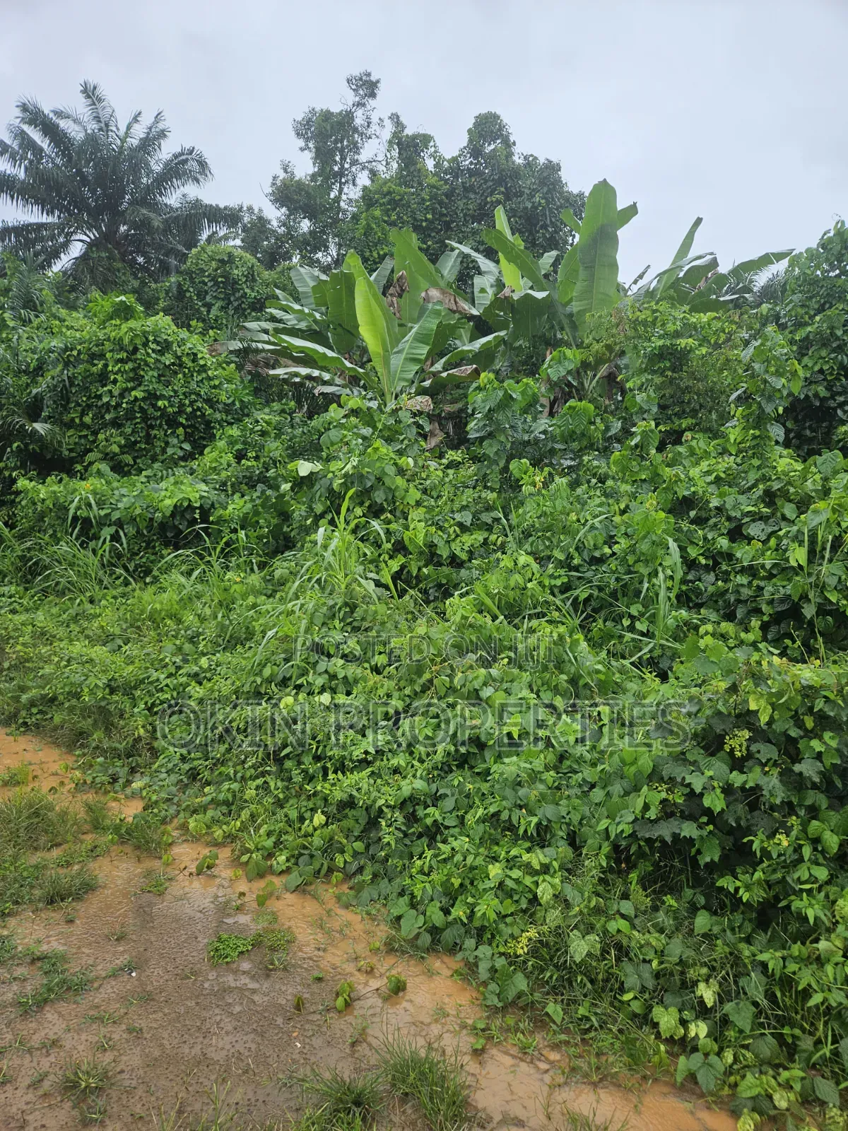 Acres of Land at Alajue Beside Osun Airport