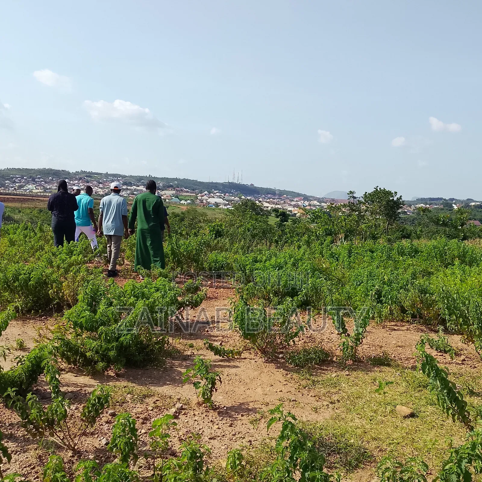 Prime Estate Land for Sale