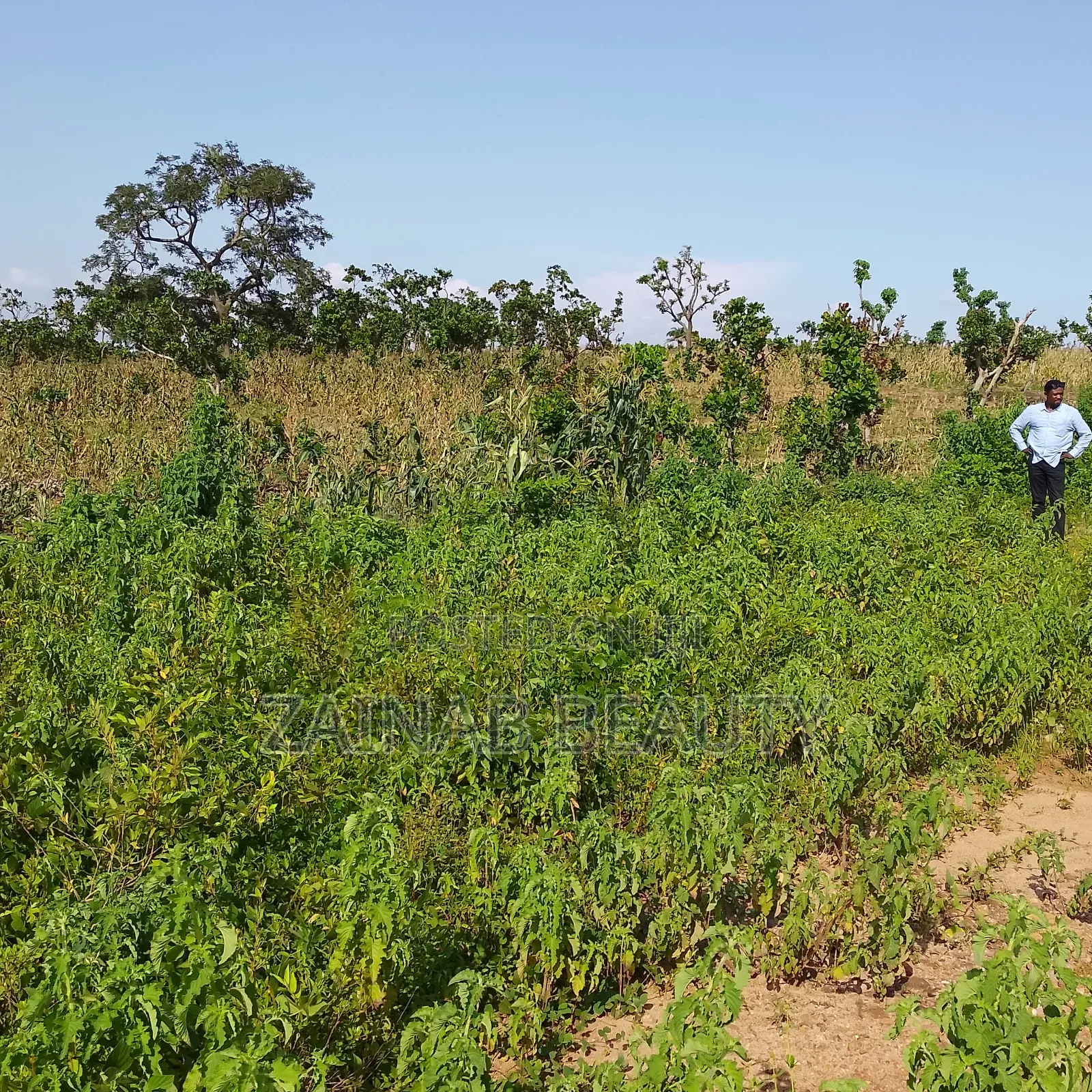 Prime Estate Land for Sale