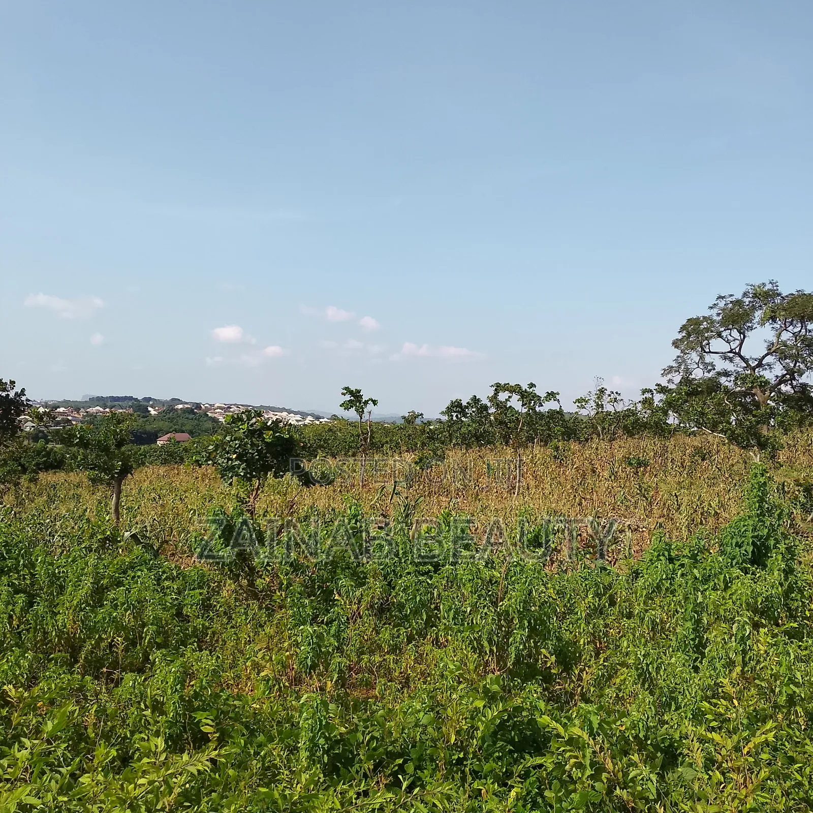 Prime Estate Land for Sale