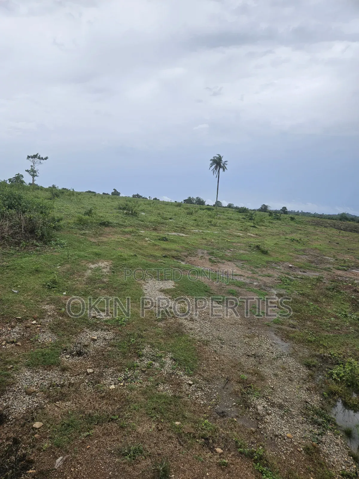 Acres of Land at Ede Opposite Osun State Secretariat