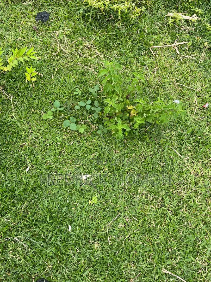 Approved C of O Land for Sale at Apo Wassa FCT Abuja