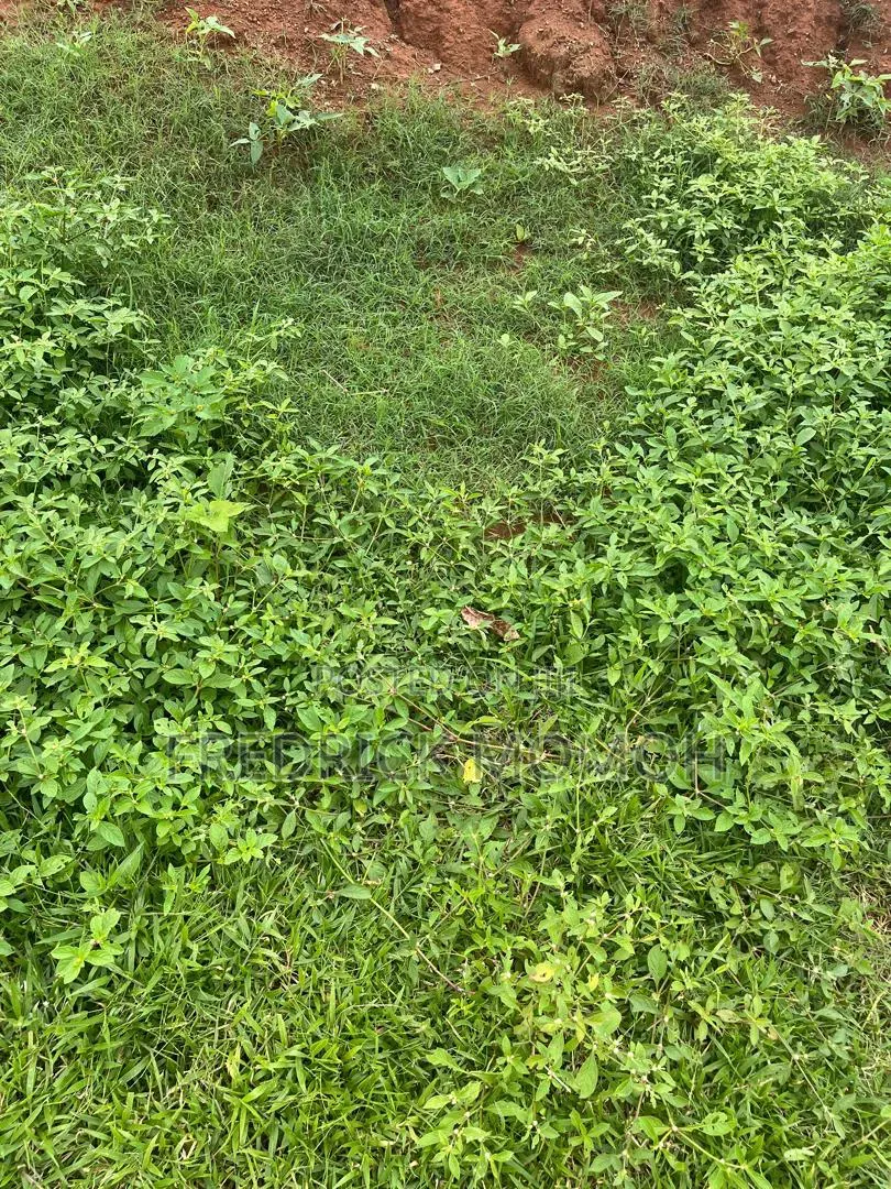 Approved C of O Land for Sale at Apo Wassa FCT Abuja