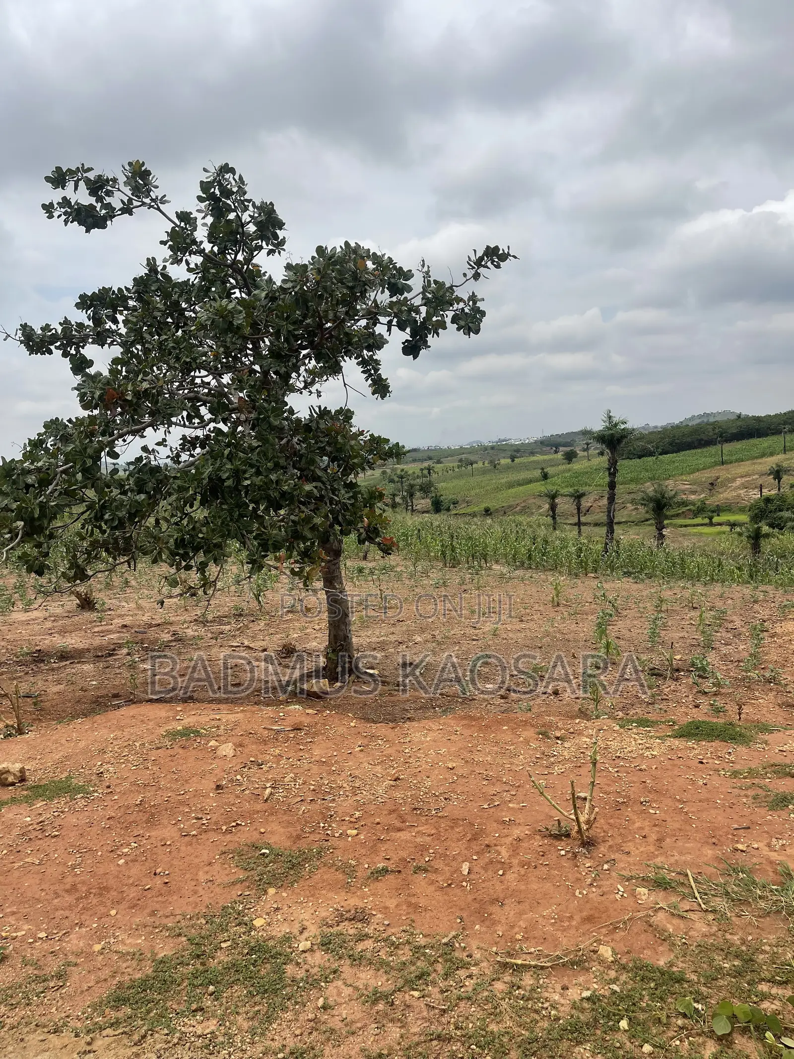 Prime Estate Land for Sale