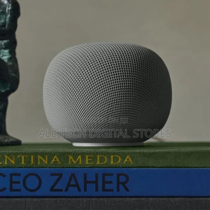 Google Home Speaker With Gemini