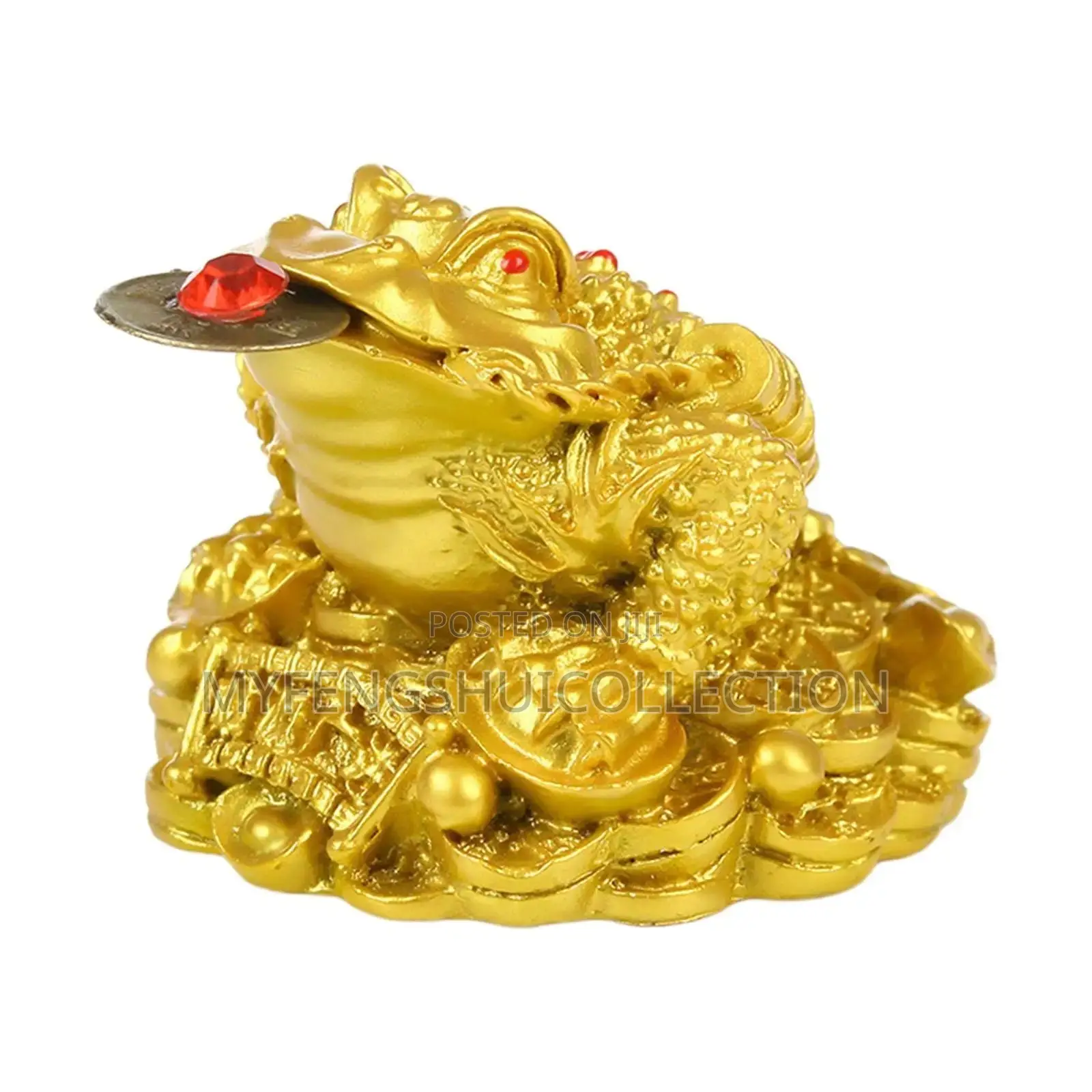 Fortified Money Turtle With Coin for Wealth and Goodluck