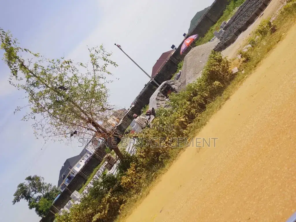 Dangote Cement Distributor