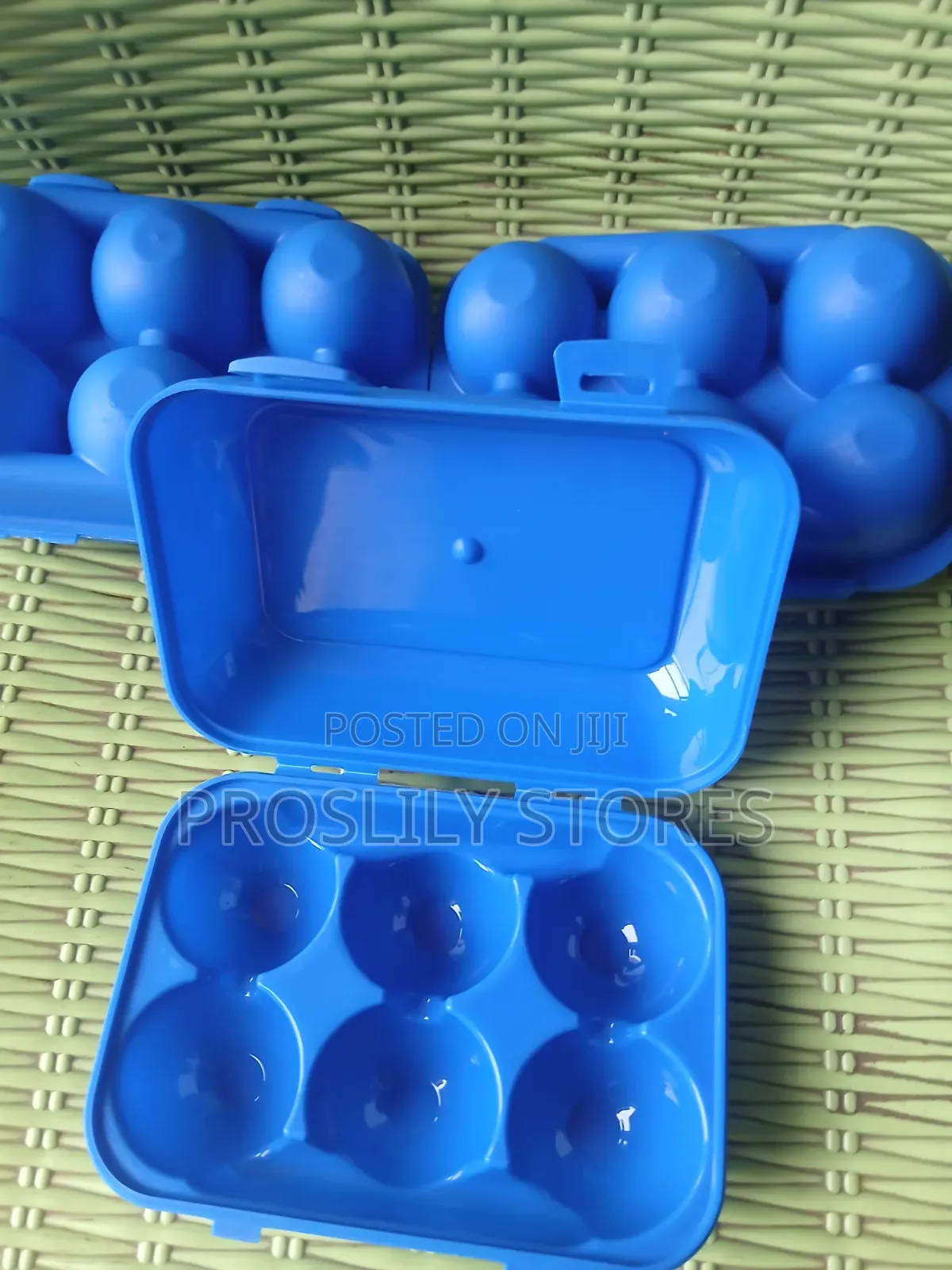 Portable Egg Crate X 24pcs / Souvenir