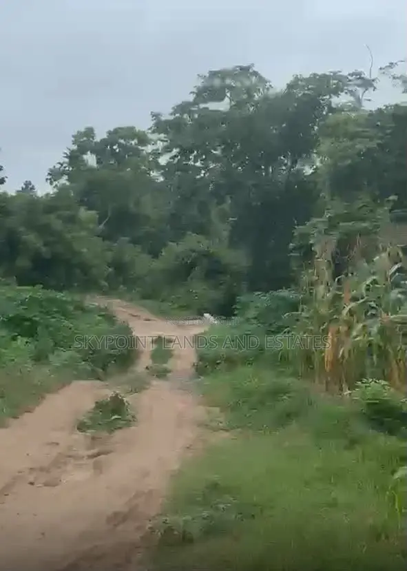 30,000 Acres Available at Ilesa Osun State