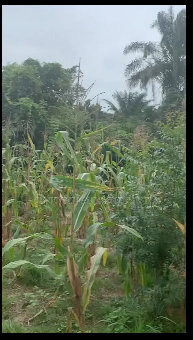 30,000 Acres Available at Ilesa Osun State