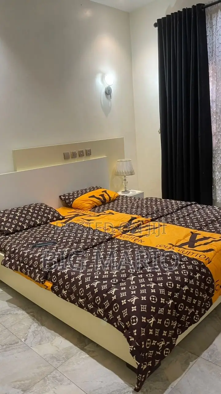 Furnished 1bdrm Apartment in Asokoro Extension for rent