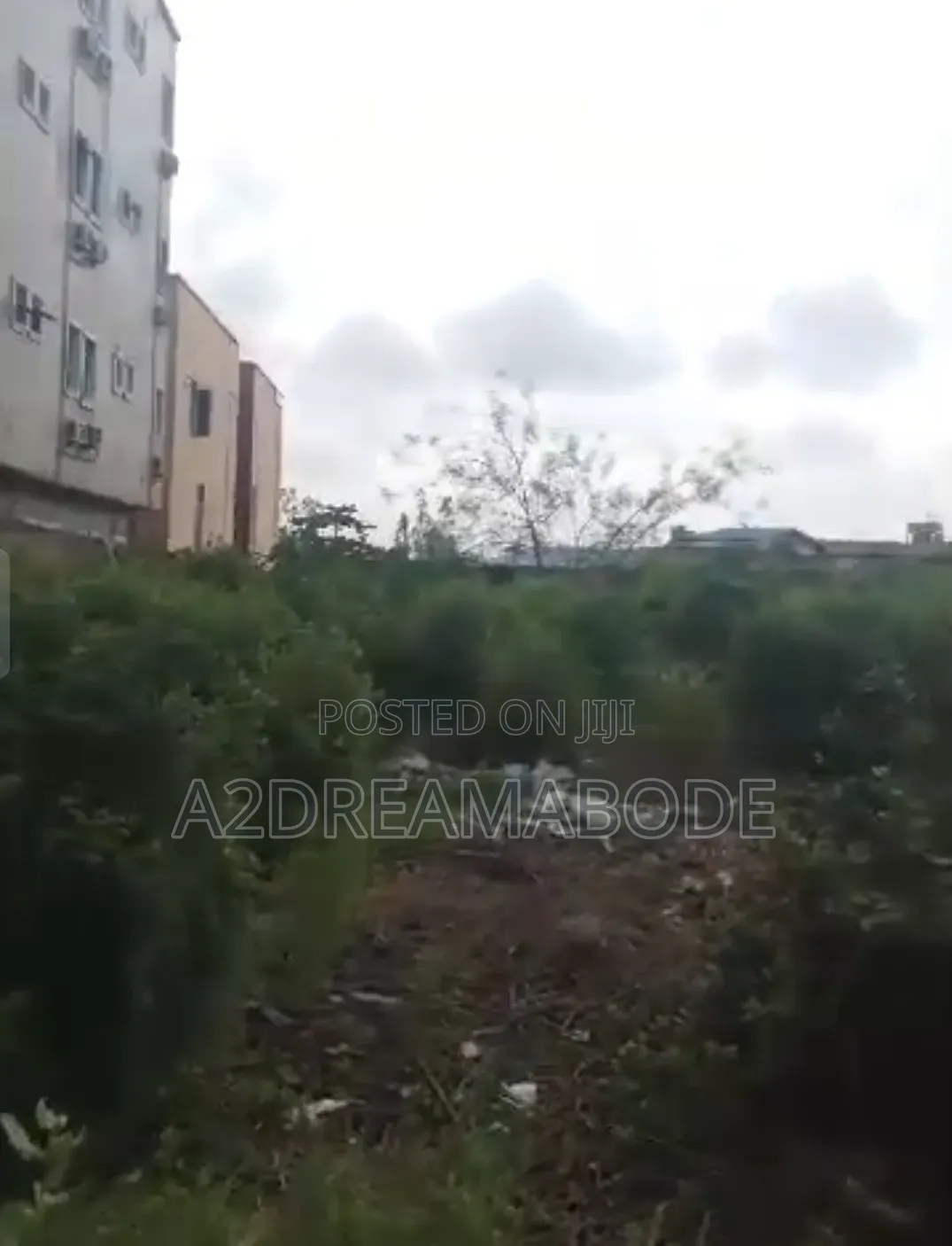 Nice Piece of Land