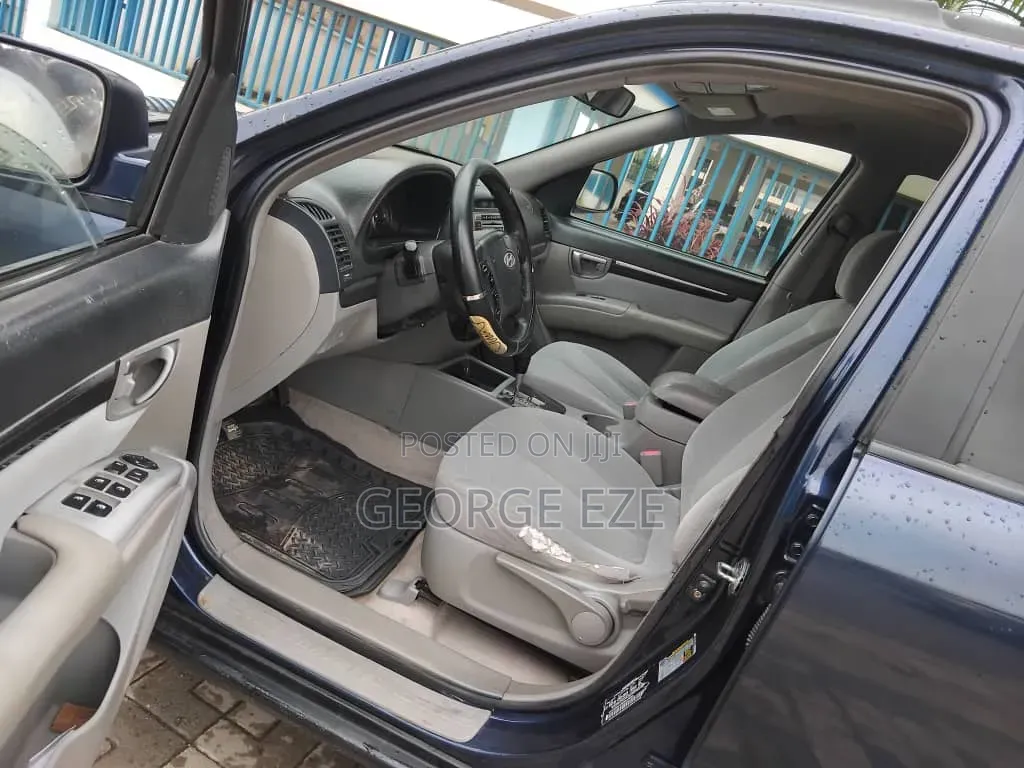 Hyundai Santa Fe 2010 Blue