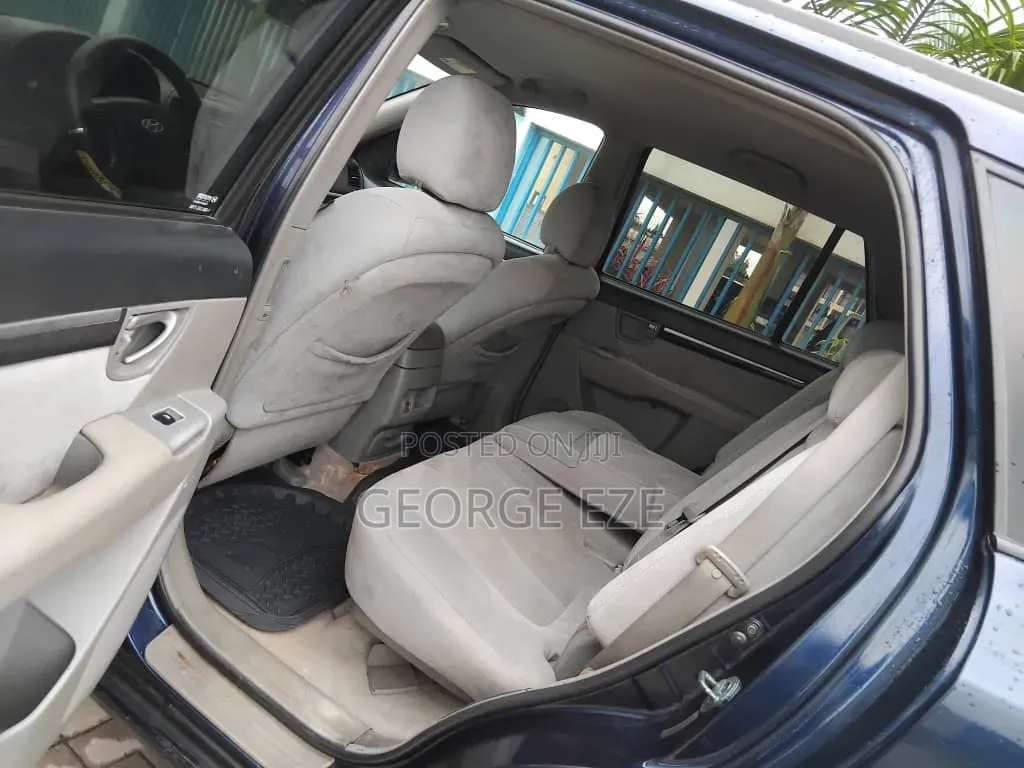 Hyundai Santa Fe 2010 Blue