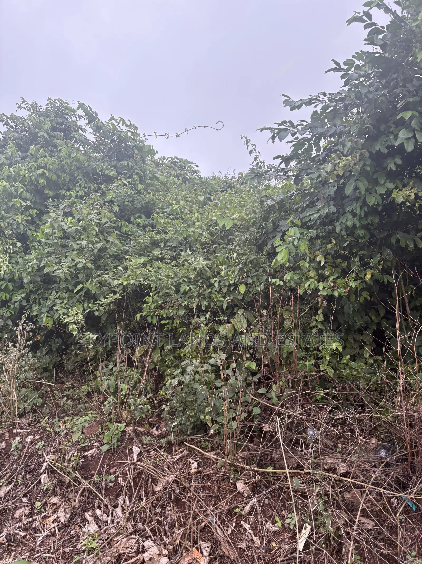 100 Hectares Available at Kobape Area Abeokuta Ogun State