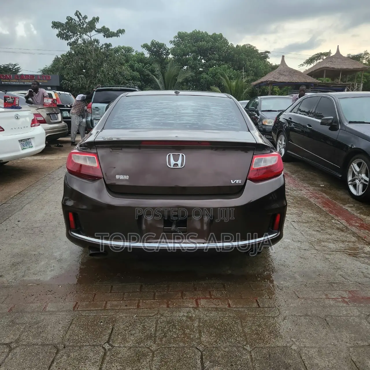 Honda Accord EX-L V-6 2dr Coupe (3.5L 6cyl 6M) 2014 Brown