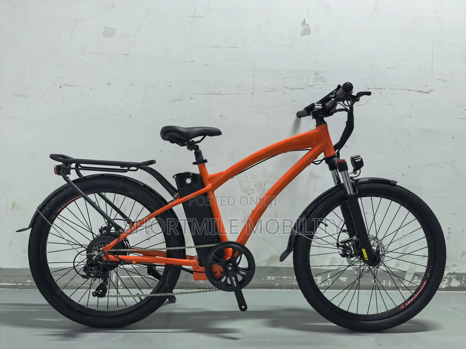 500W Light Cargo Bicycle for Delivery - ESIN