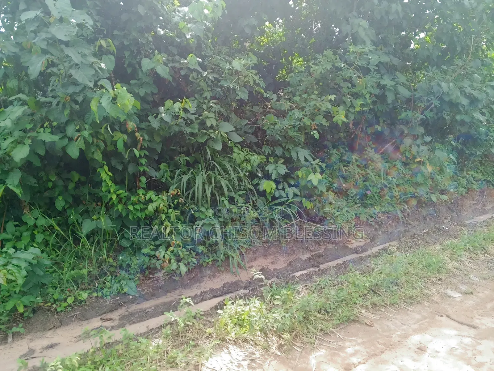 2 Plots for Sale in Nsukwe Right at Oakwood Junction Umuahia