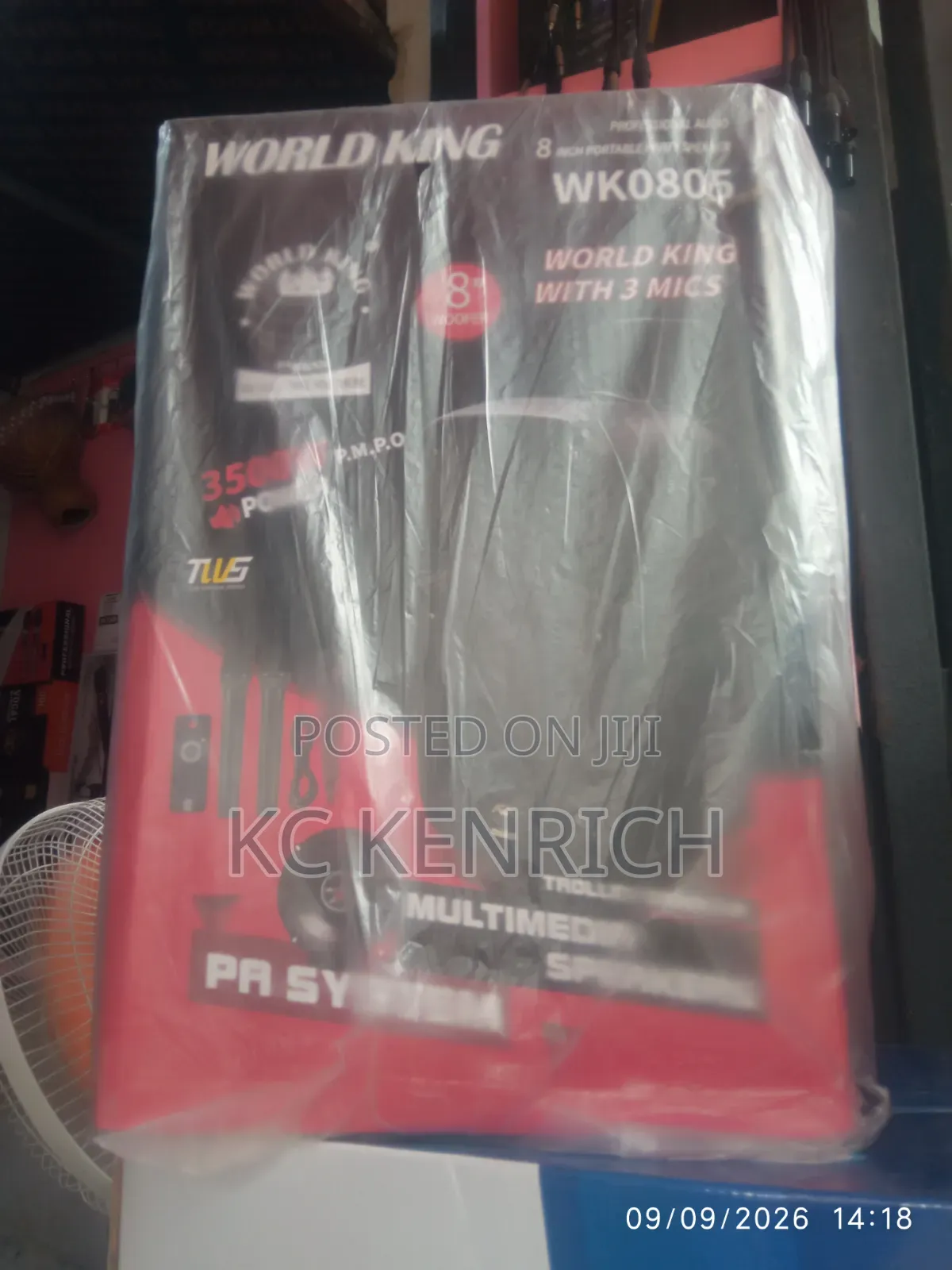 Worldking PA System 8 Inch, 3 Wireless Mic And