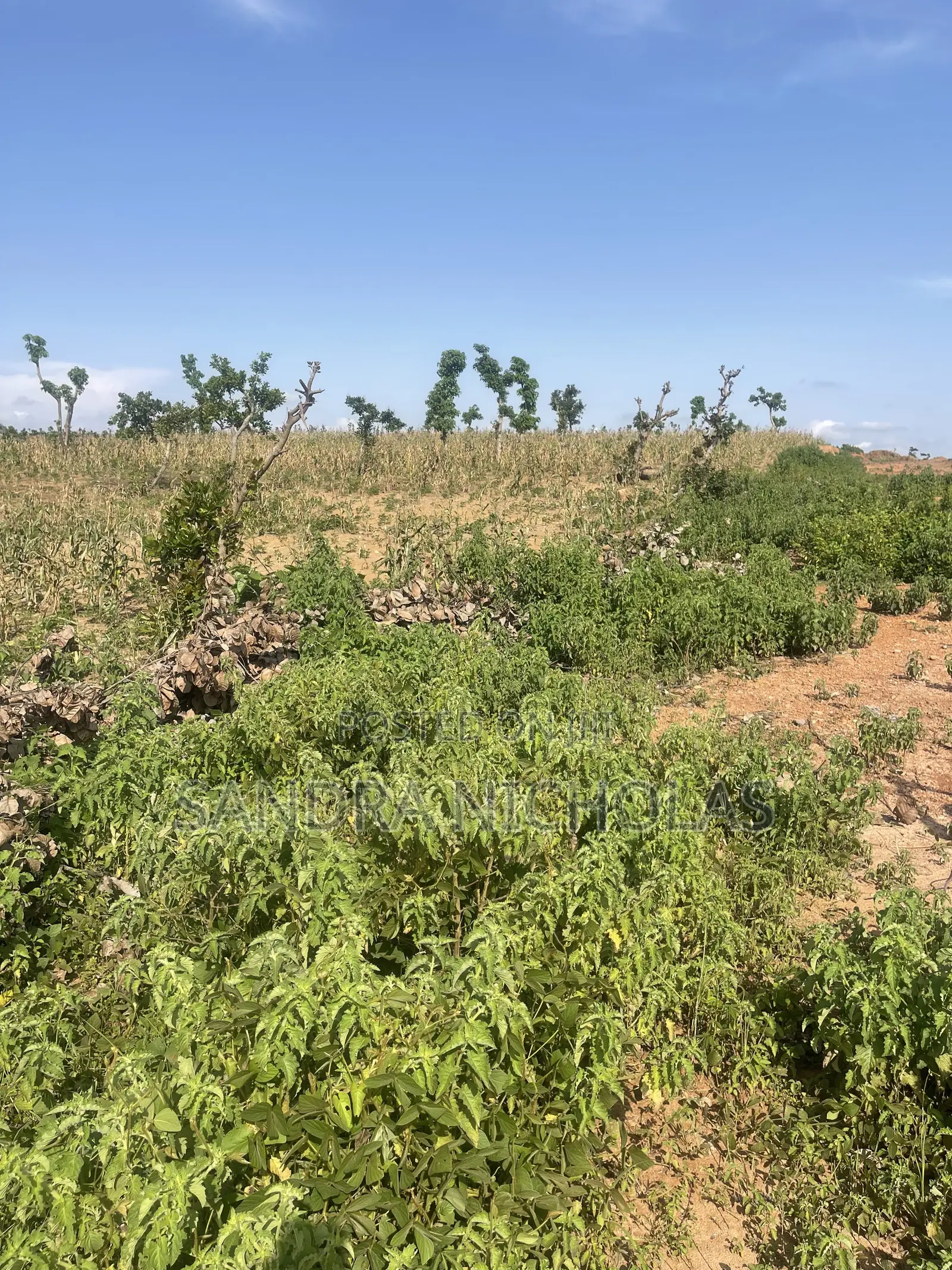 500qm Estate Plot for a 4 Bedroom Fully Detached Penthouse and Bq