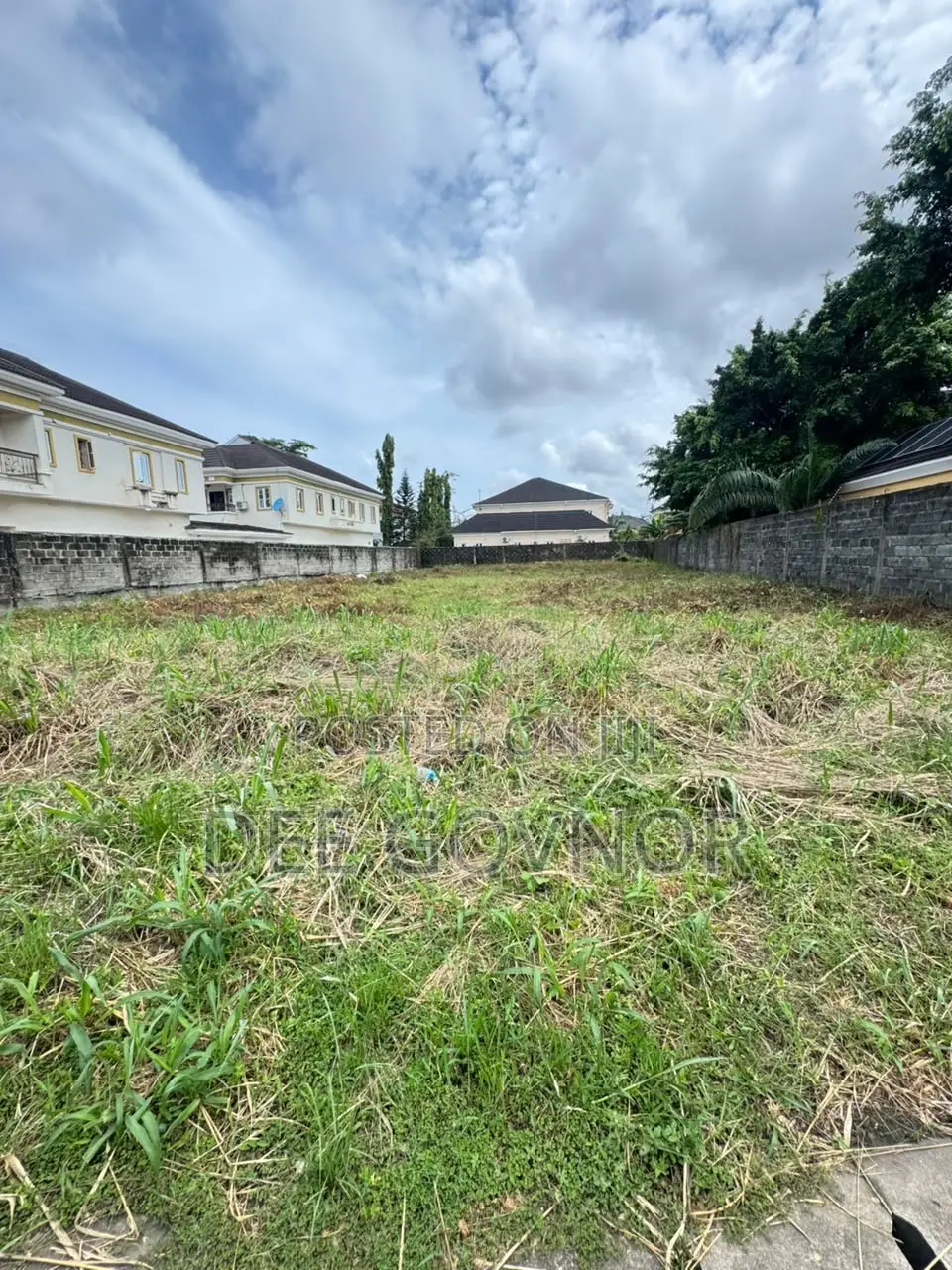The Estate