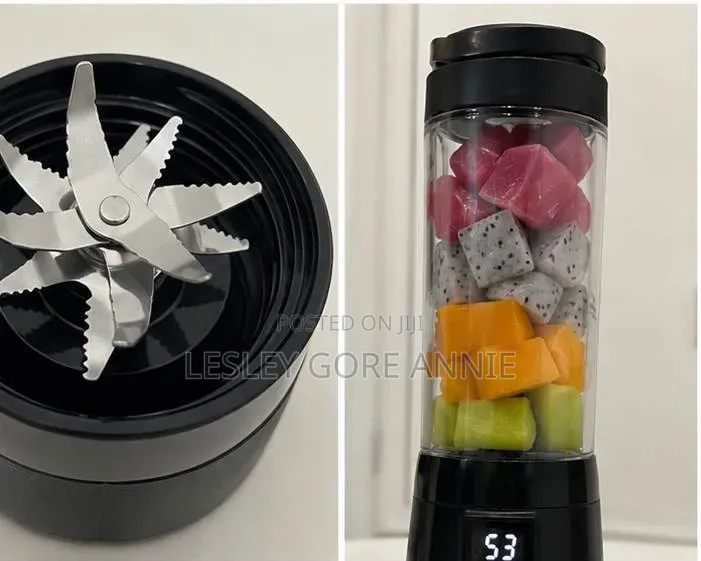10-Blade Rechargeable Portable Blender 600ml – USB