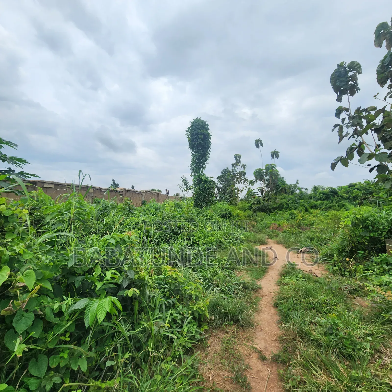 5.3acres of Land (22,593sqm) With CofO at Badeku Ibadan