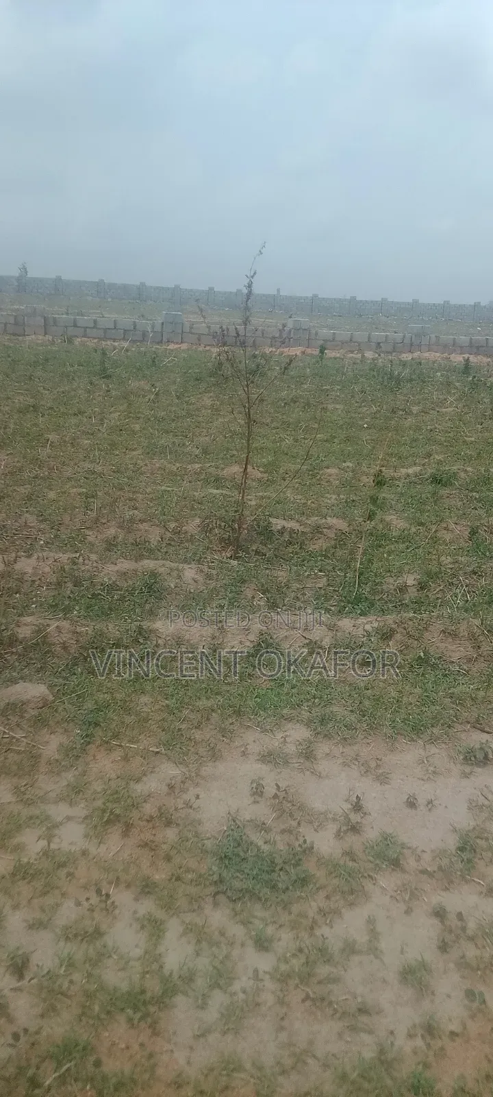 500sqm for 5 Bedroom Detached Duplex With BQ