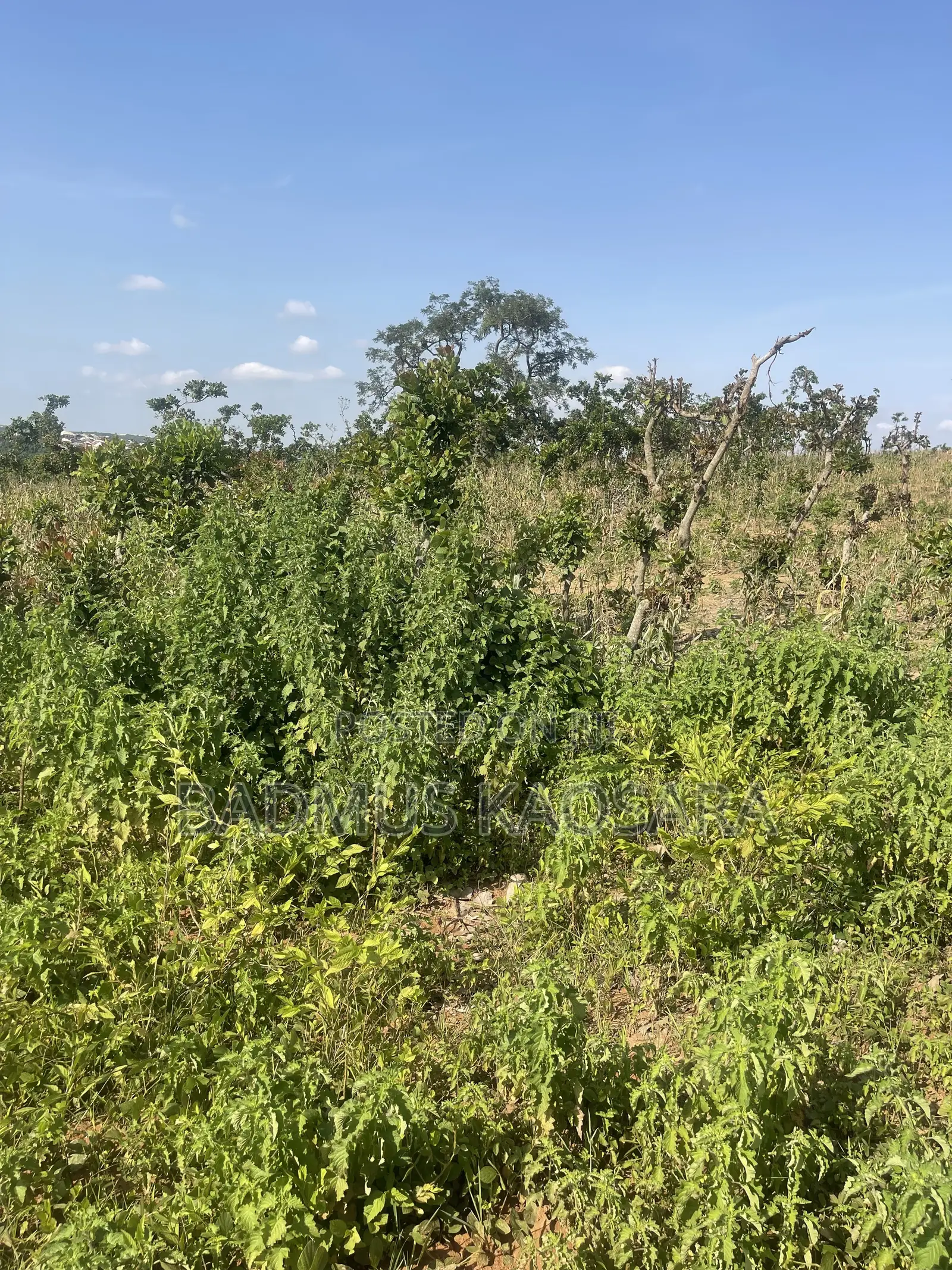 Prime Residential Land for Sale