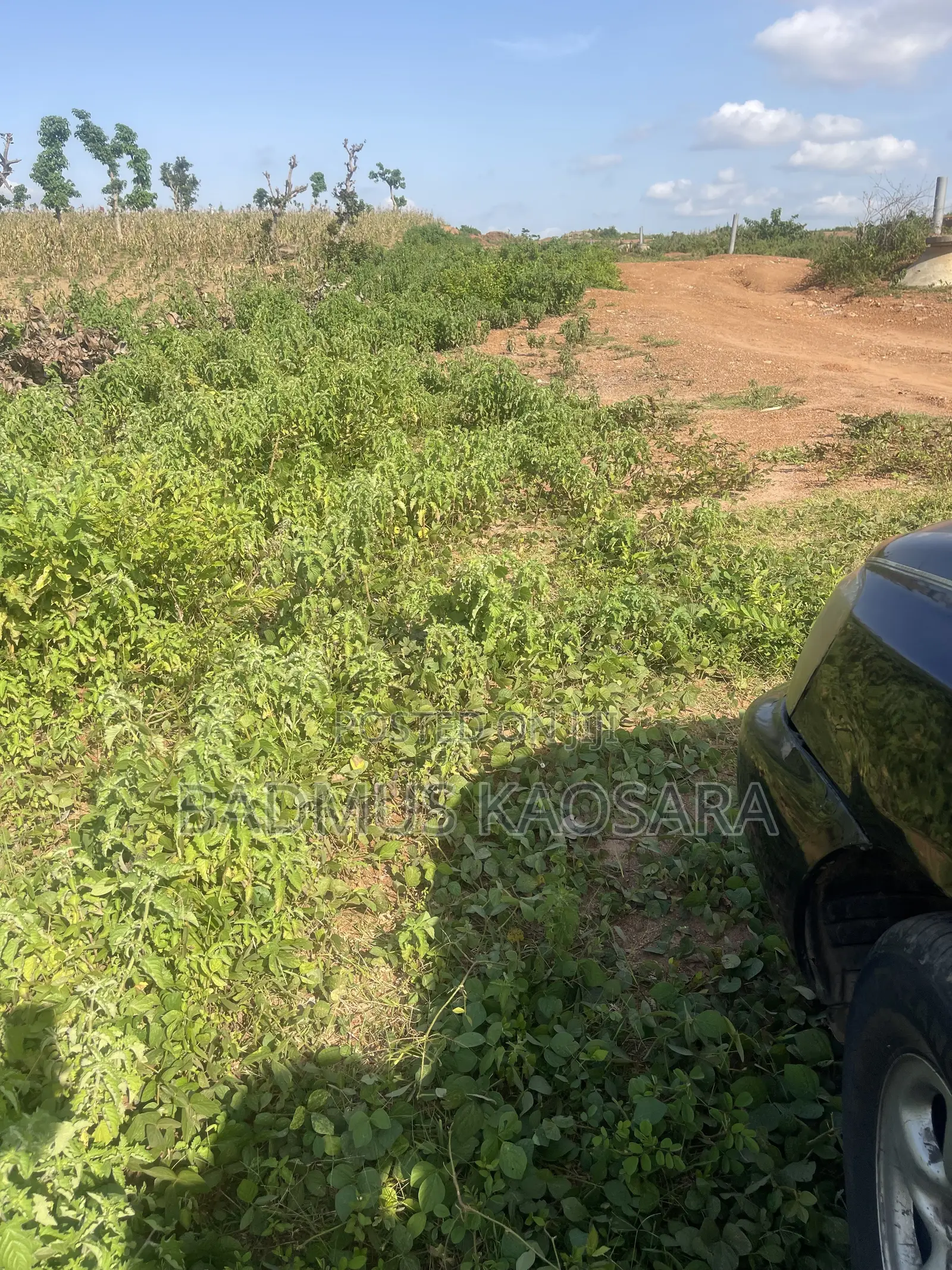 Prime Residential Land for Sale