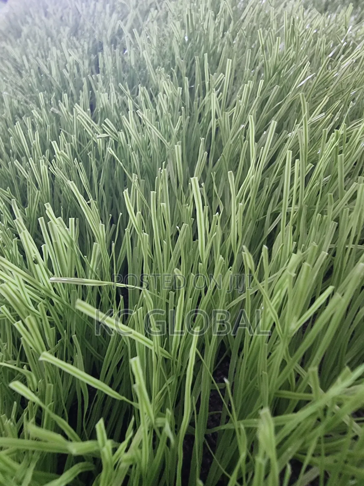 Artificial Grass 50 Mm . Available in Bundles .