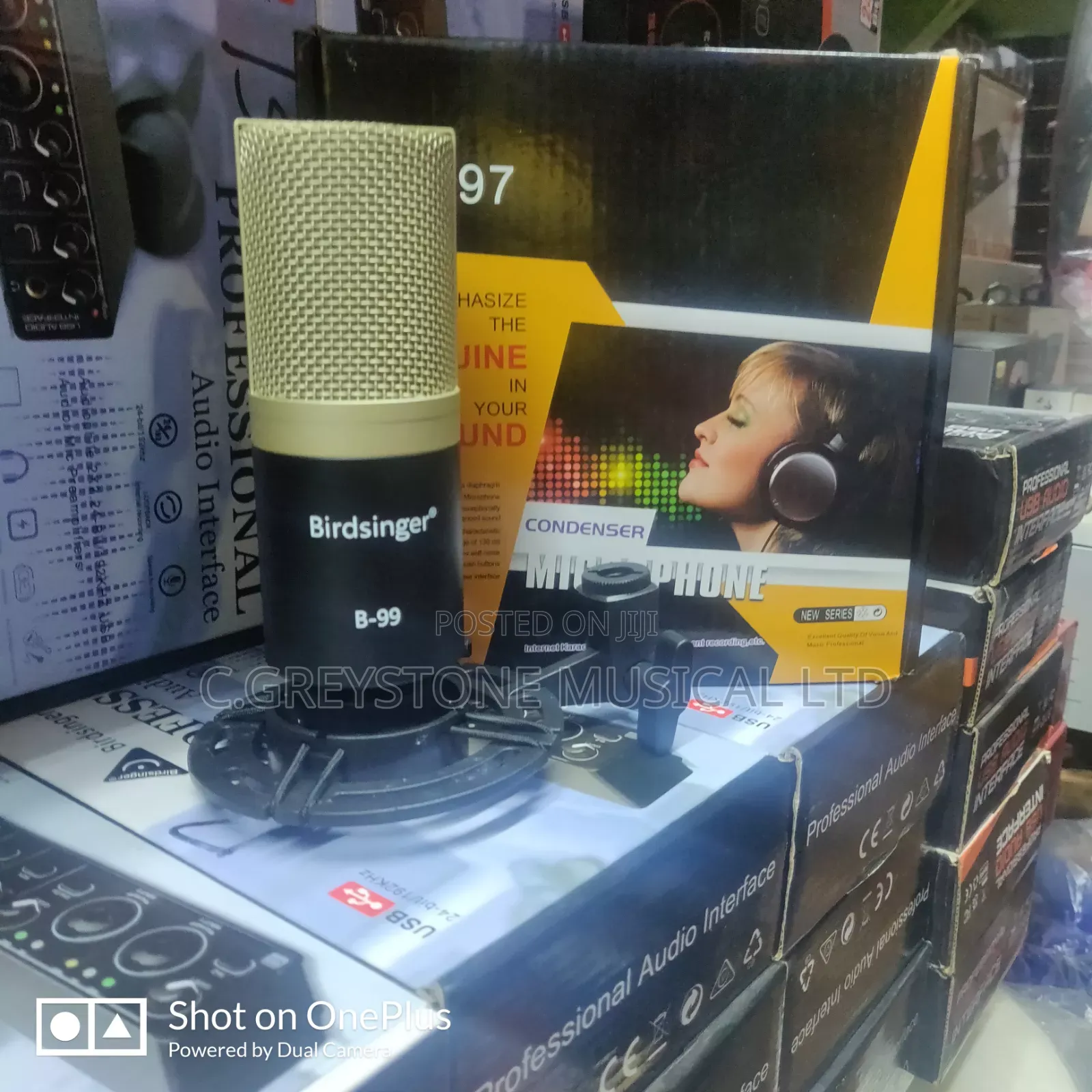 Recording Condenser Mic B99