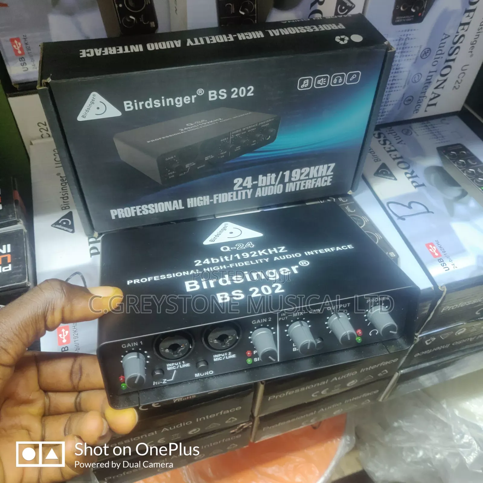 Q24 Soundard Birdsinger Bs202