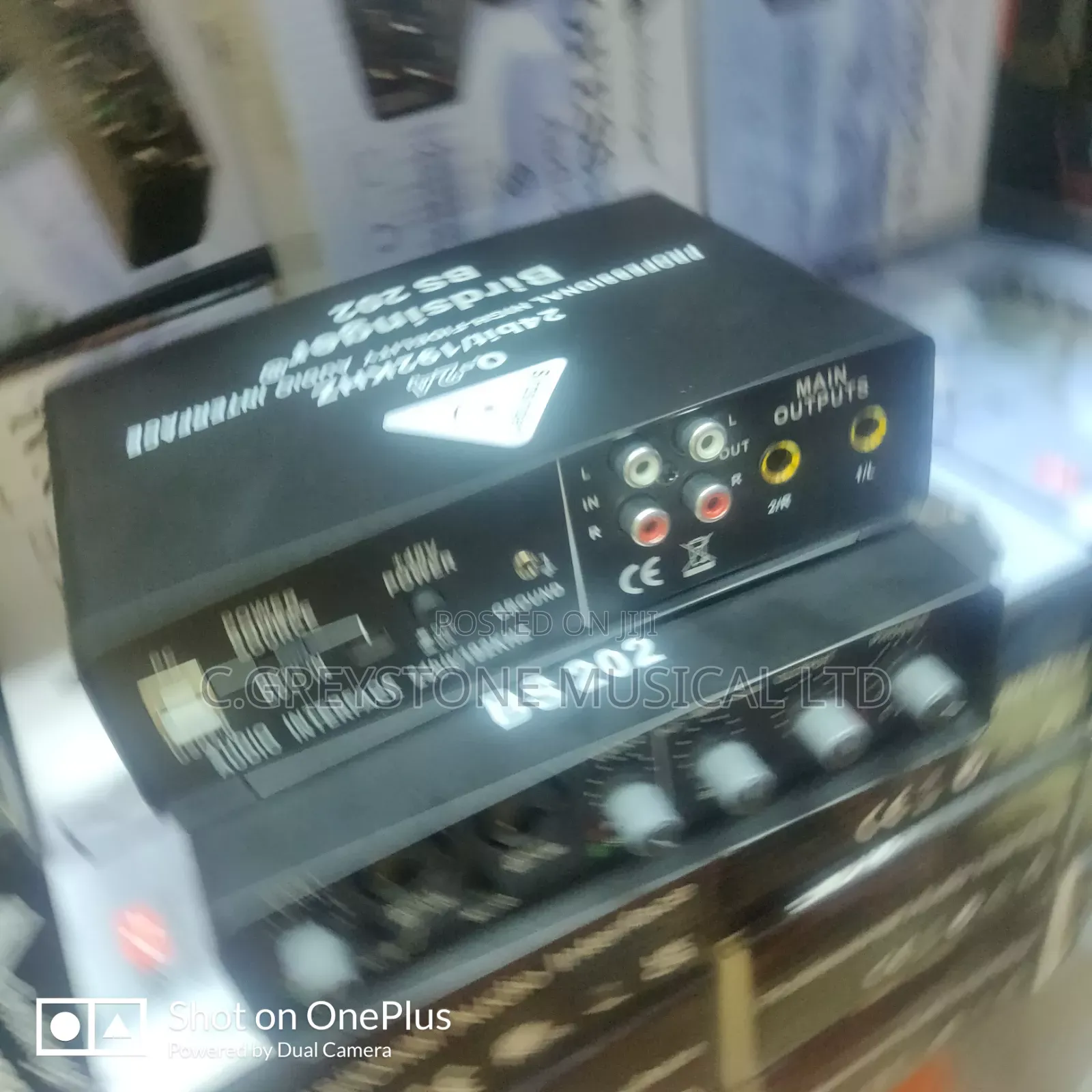 Q24 Soundard Birdsinger Bs202
