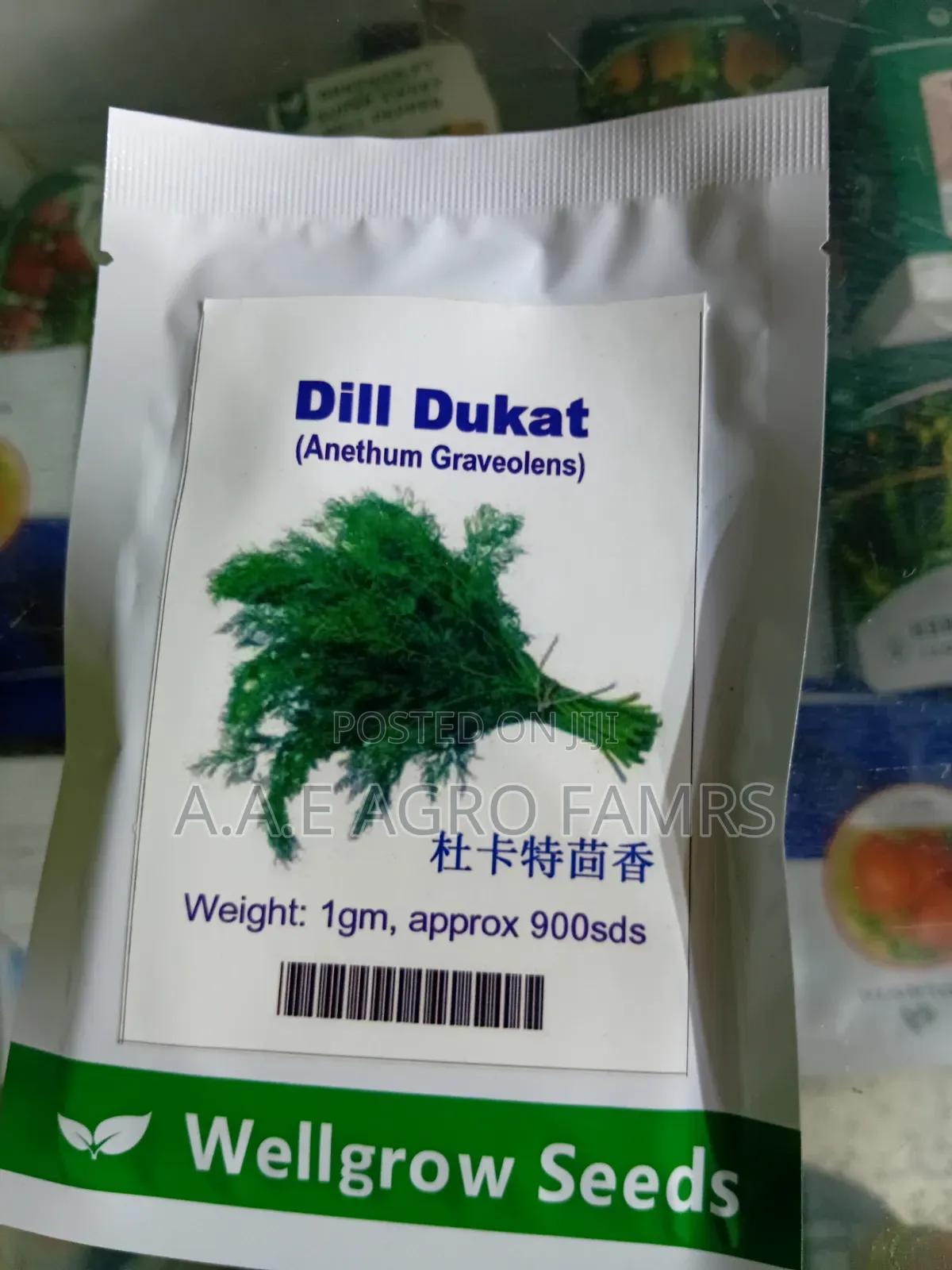 Dill Dukat Seeds