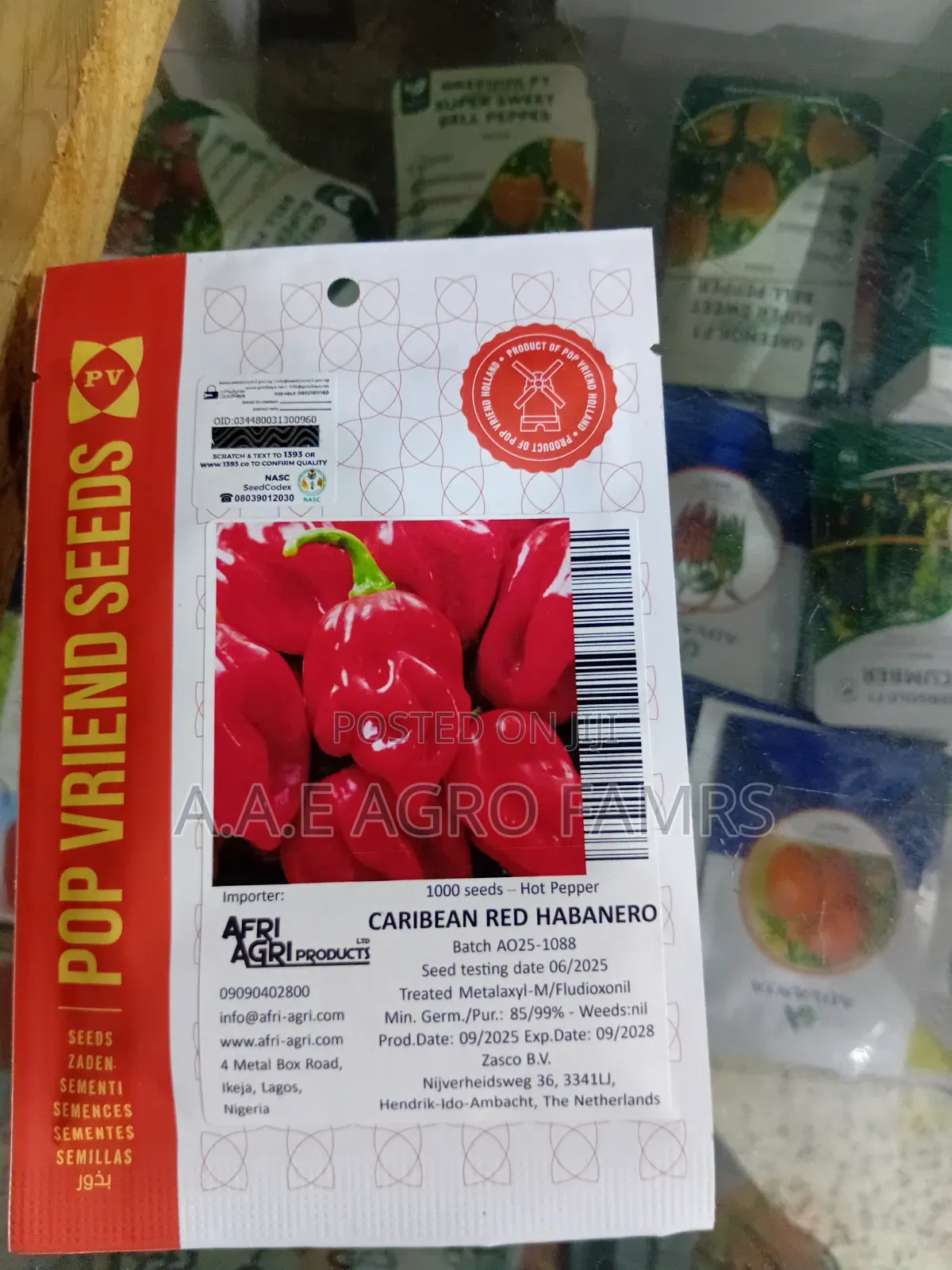 Caribbean Red Habanero Seeds