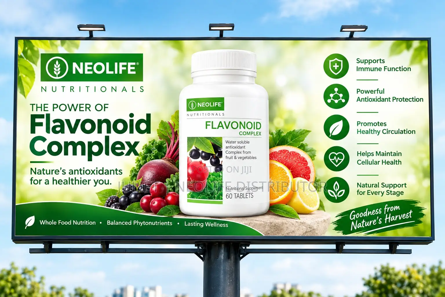 Neolife Flavonoid Complex - 60 Tablets - Owerri