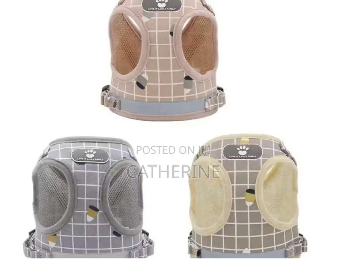 Pet Harness