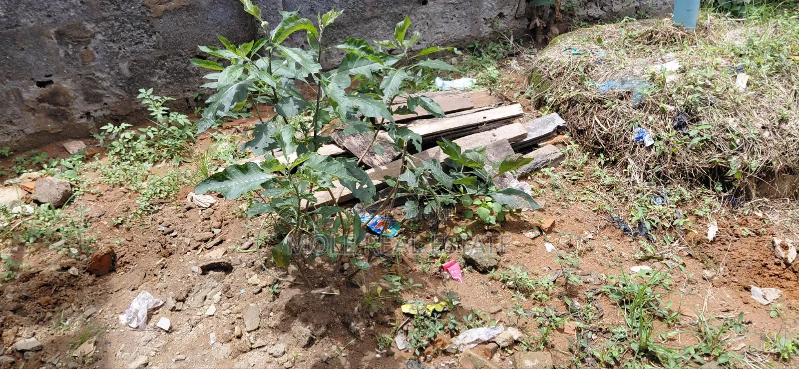 3600sqm (1 Acre) Onyingbo Market Ebuta Meta Lagos