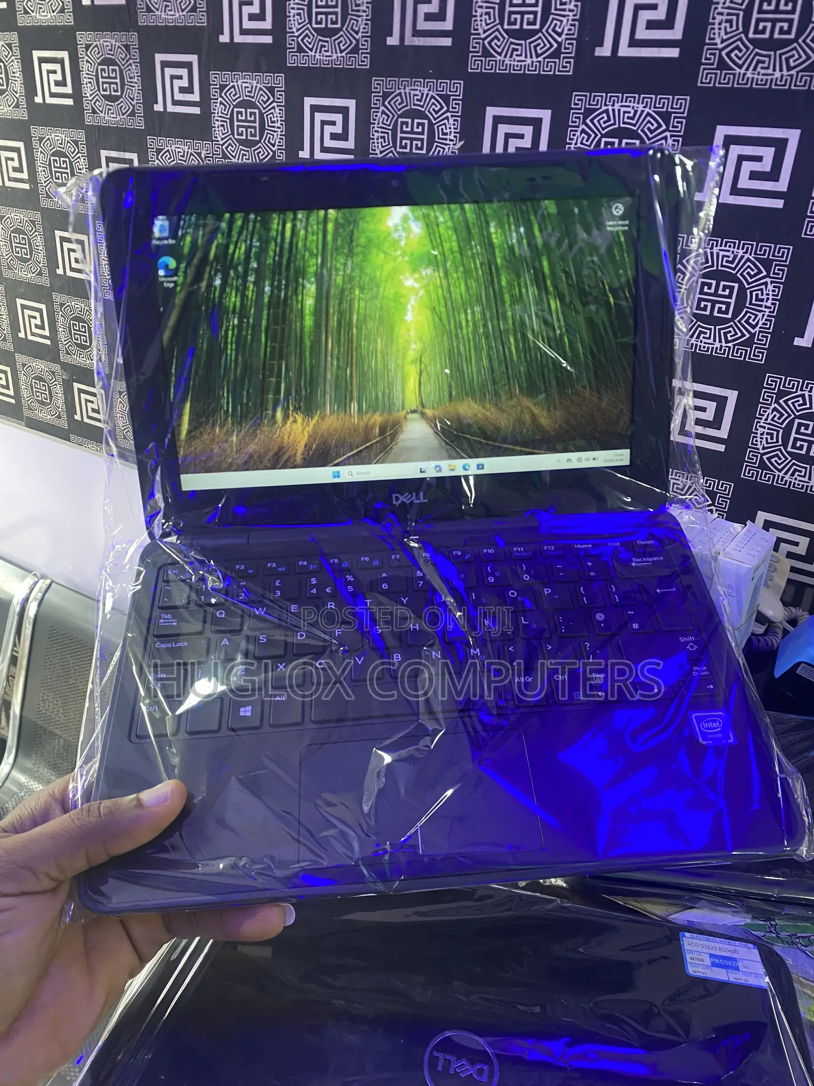 Laptop Dell Latitude 3190 4GB Intel SSD 72GB