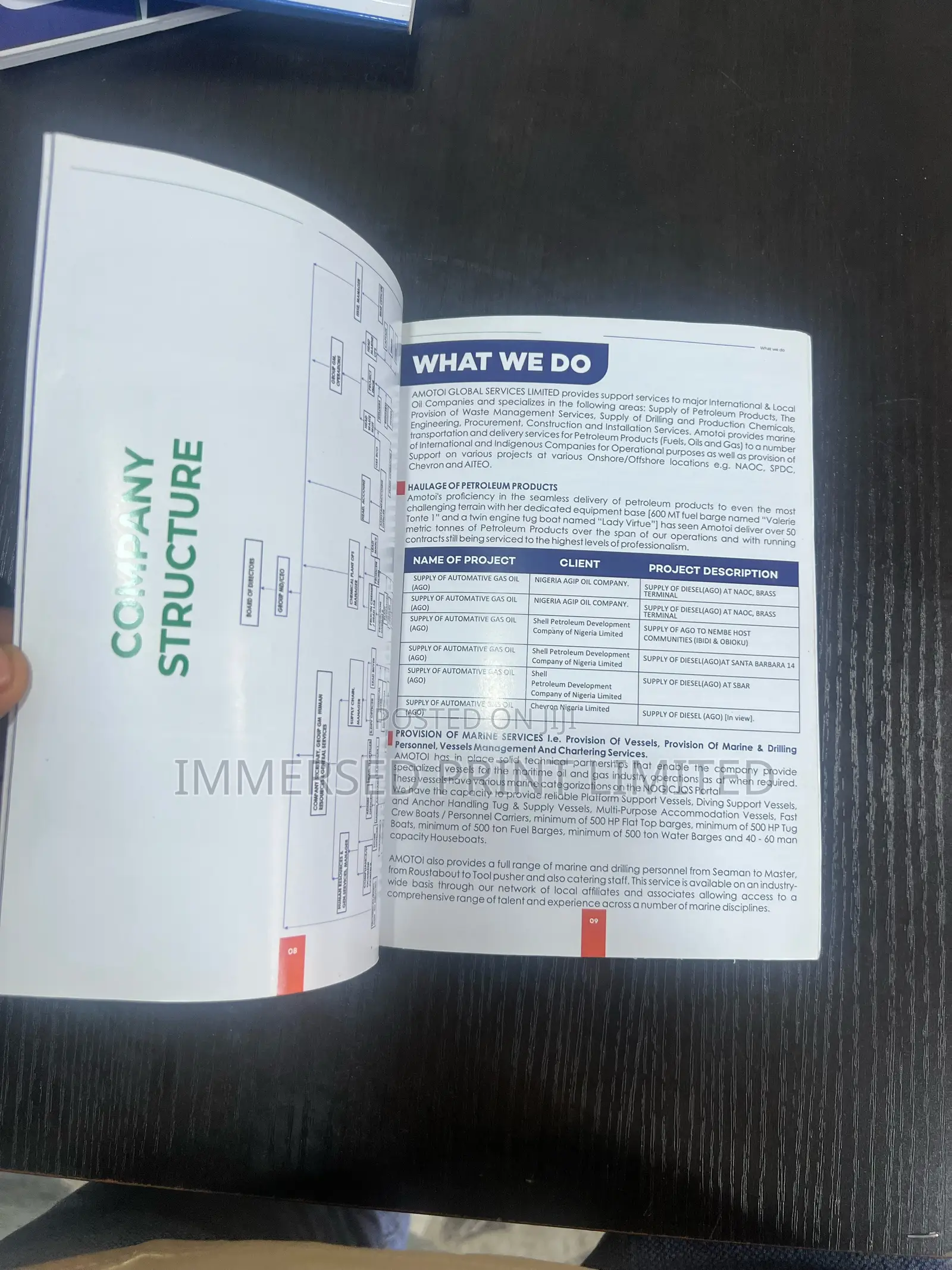 Company Profile Design Printing