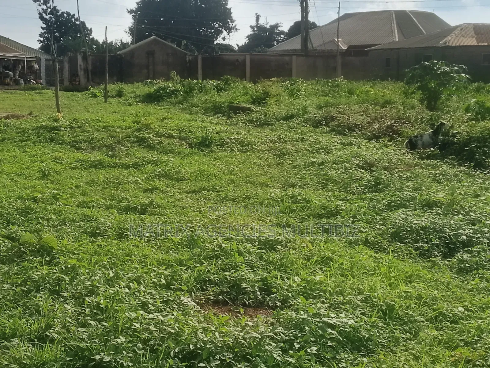 2 Plots of Commercial/Residential Landed Property Facing the Main Road