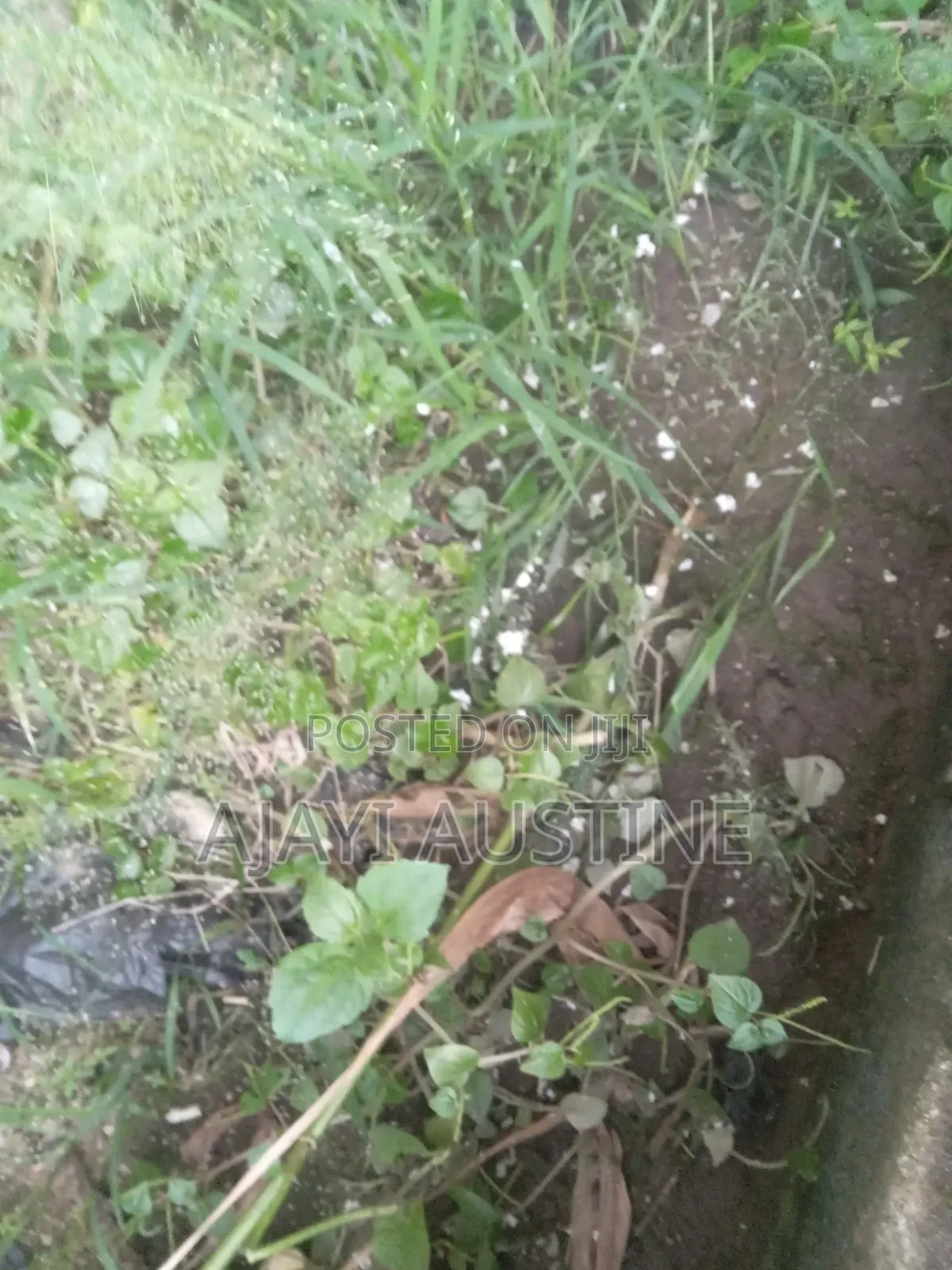 1,300 Square Meters Land at Maitama, Abuja for Sale