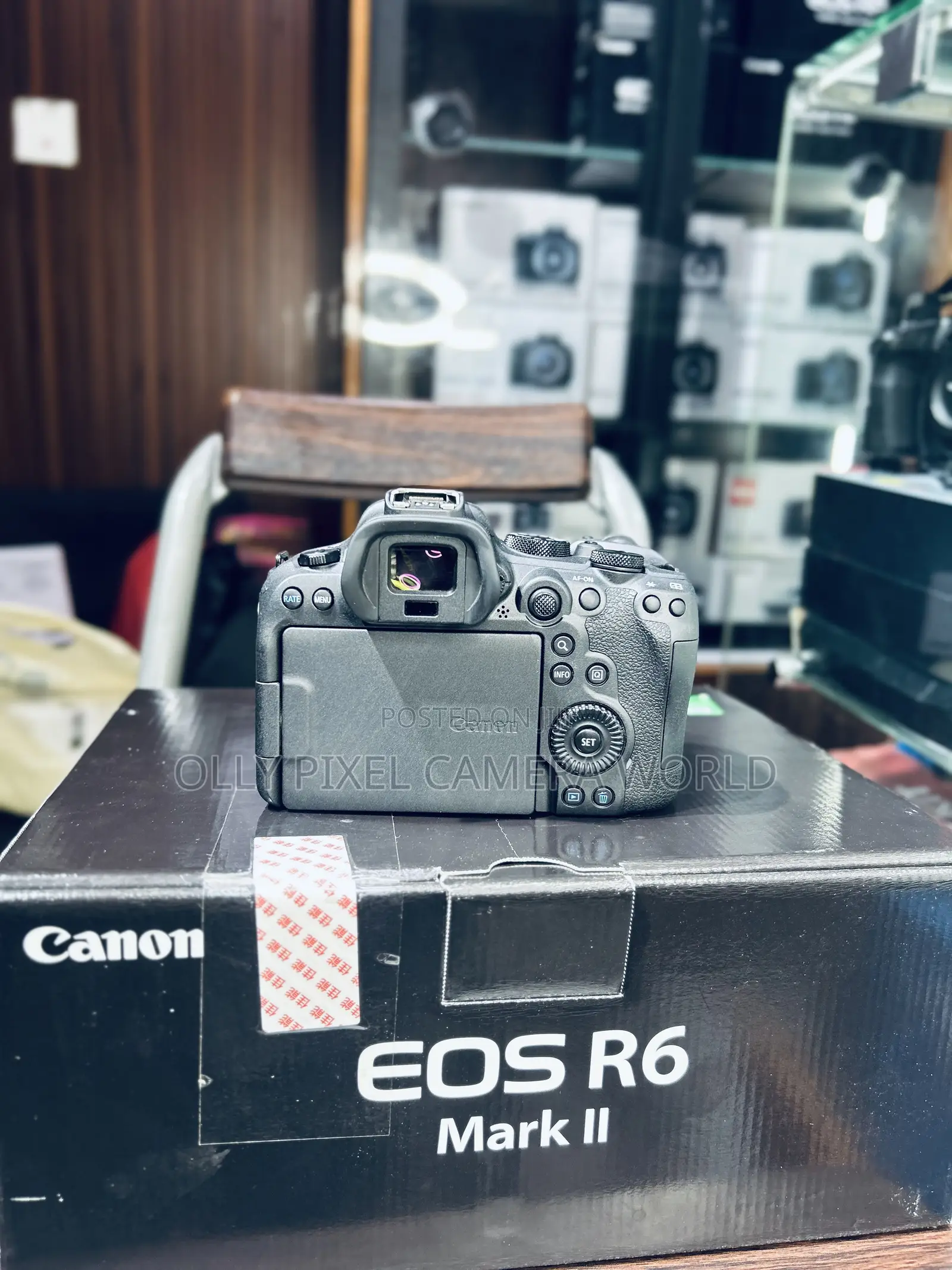 Canon Eos R6 Mark Ii