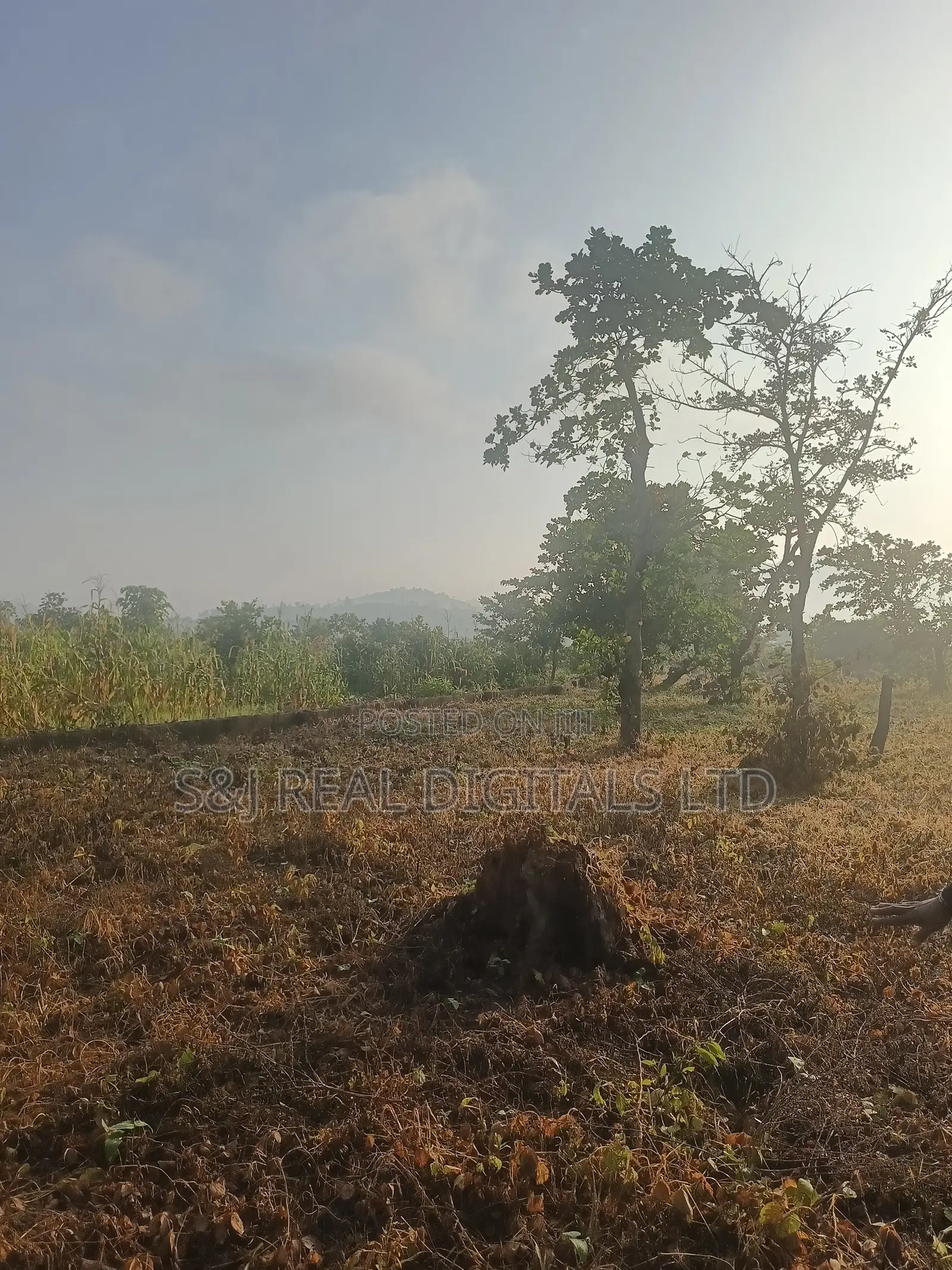 2,391 SQM Land in Maitama Main