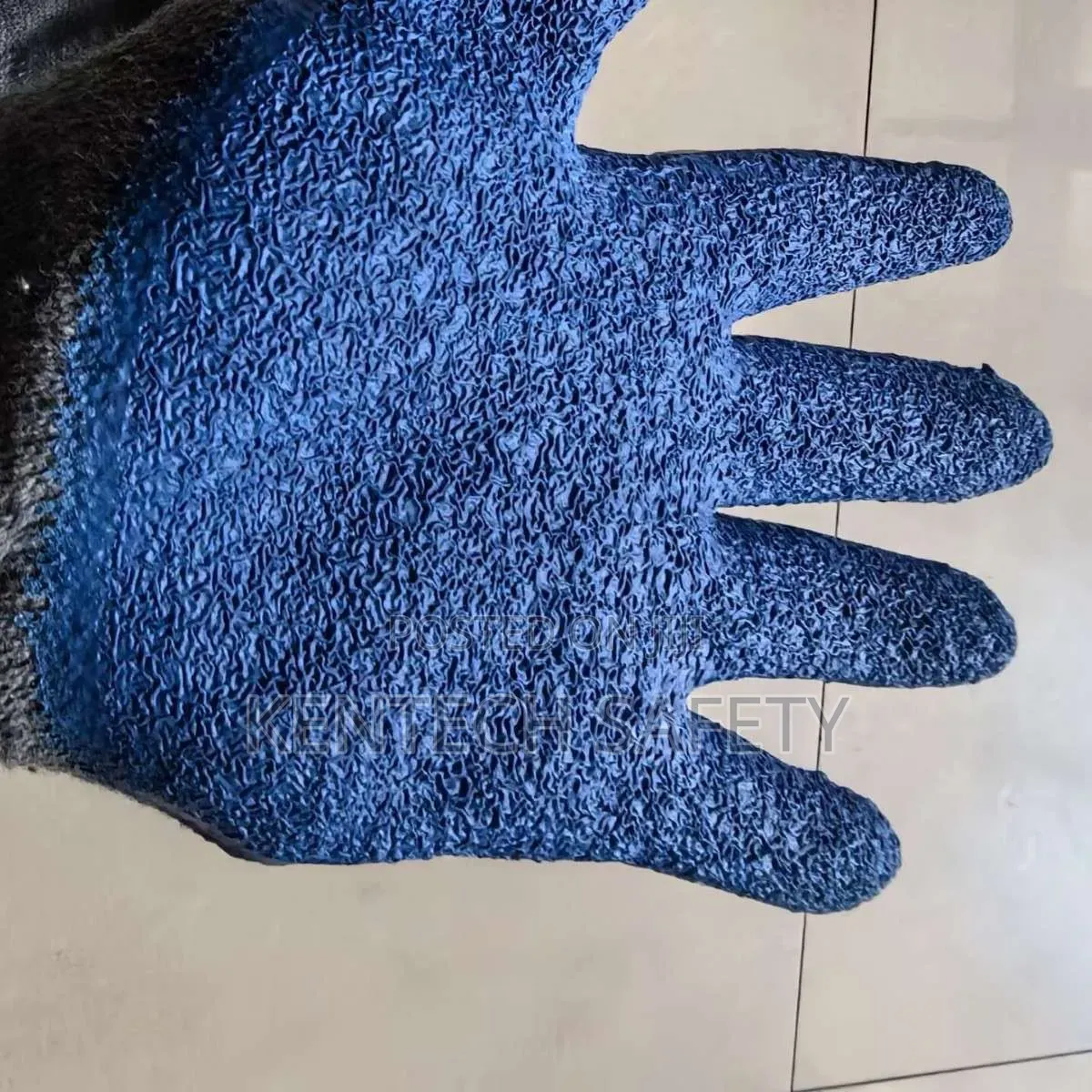 Blue Coated Gloves Original