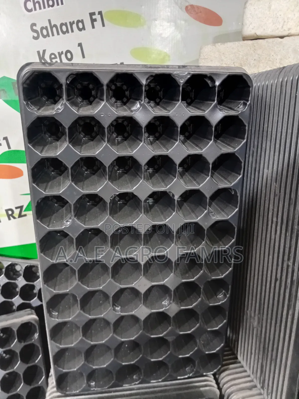 Seeds Tray