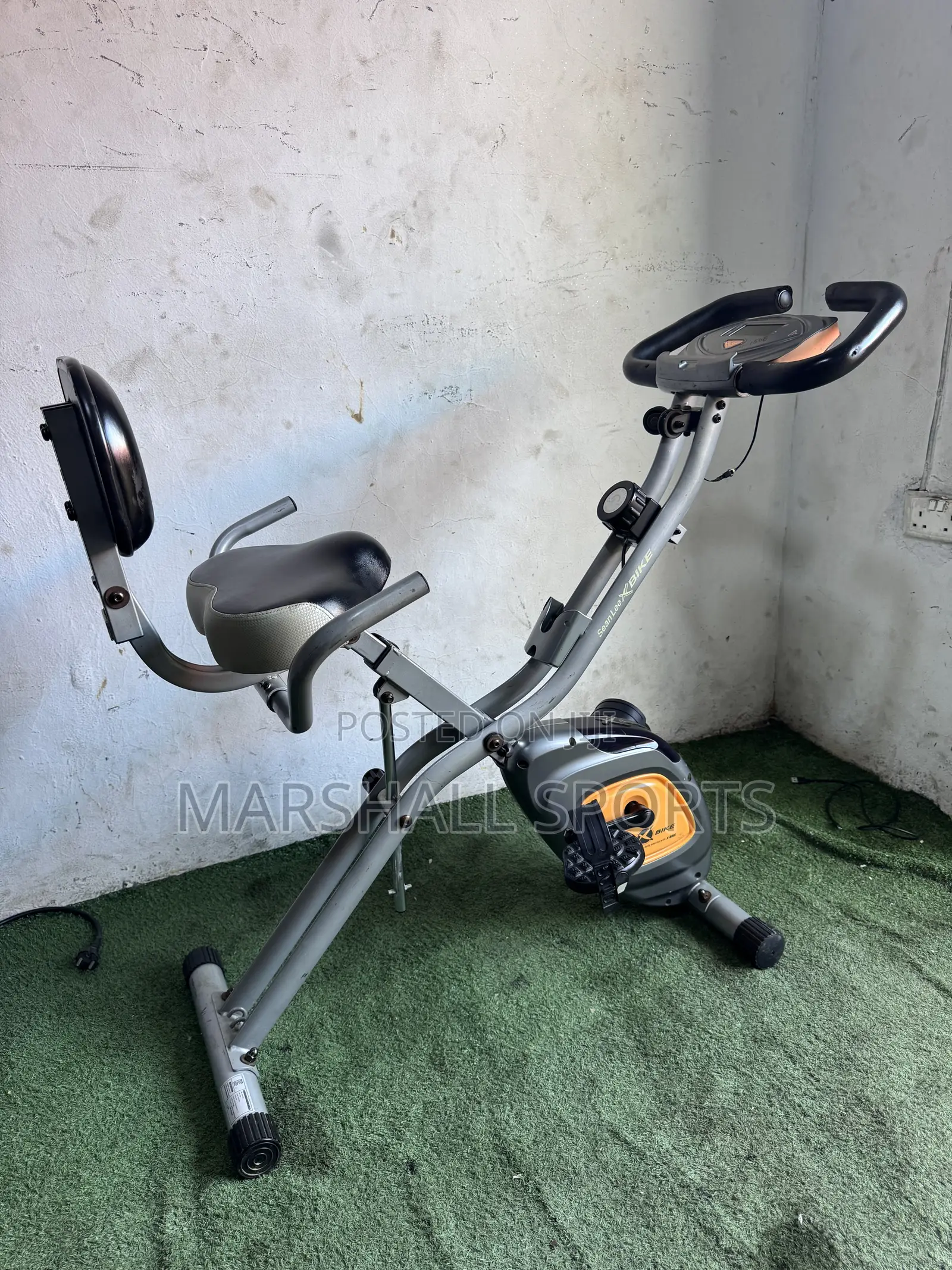Xbike With Back Extension